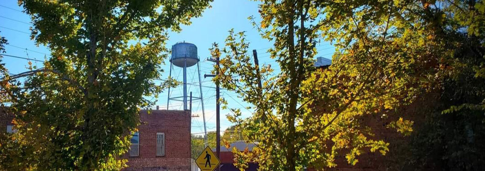 Trees Water Tower